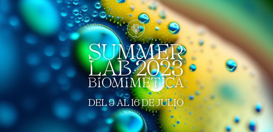 Dossier Biomimética 2023
